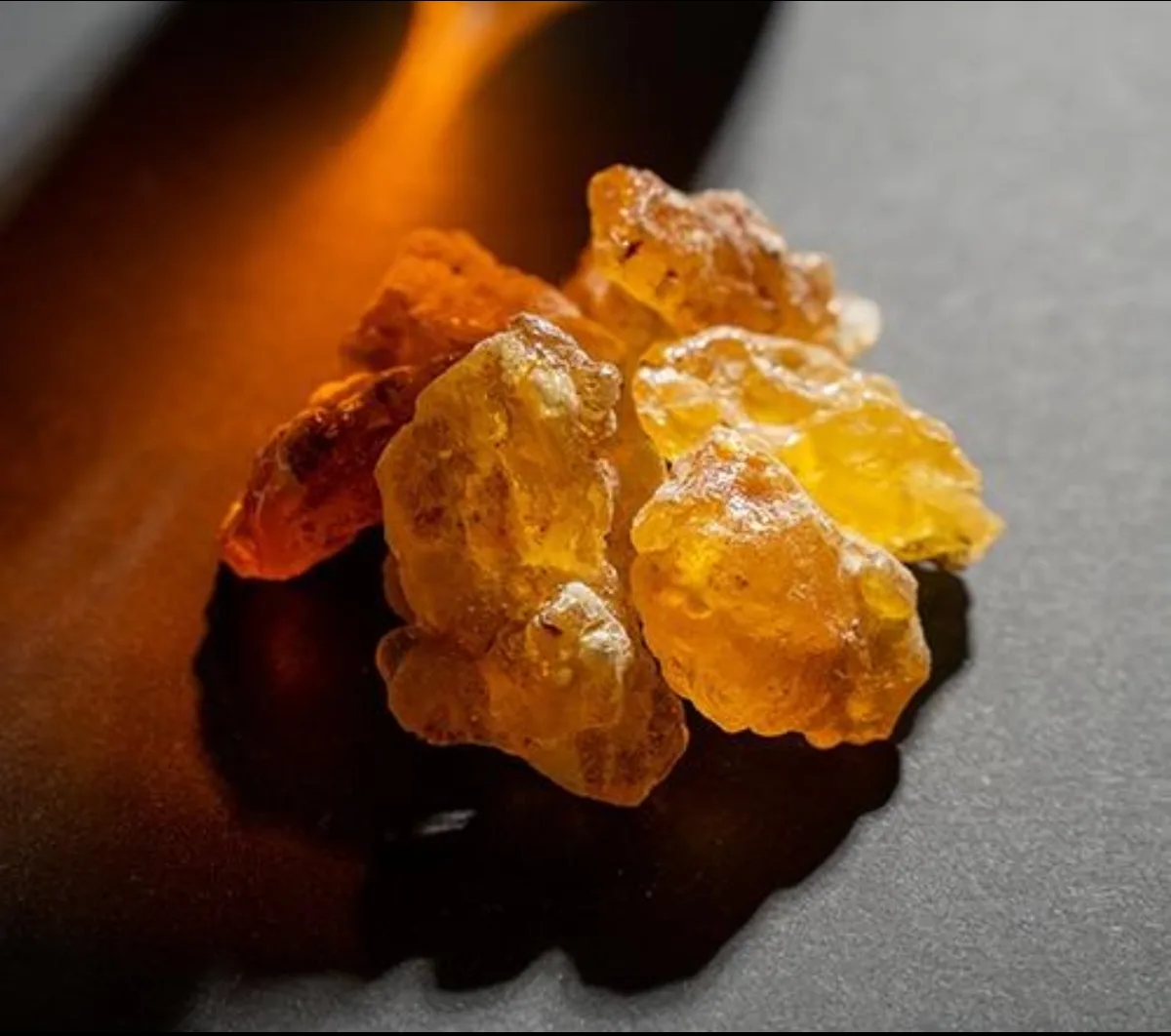 Premium Somali frankincense resin tears glowing in warm golden light against a dark background