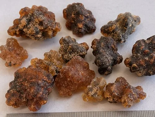 Somali myrrh resin (Commiphora myrrha) with white striations